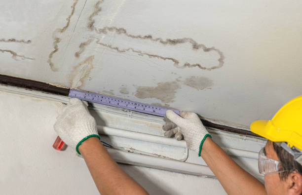 24/7 Emergency Structural Drying experts in Bannister, MI