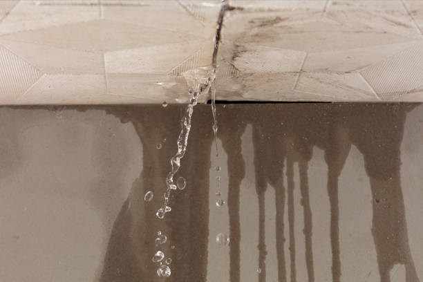 Professional Structural Drying technician working in Bannister, MI
